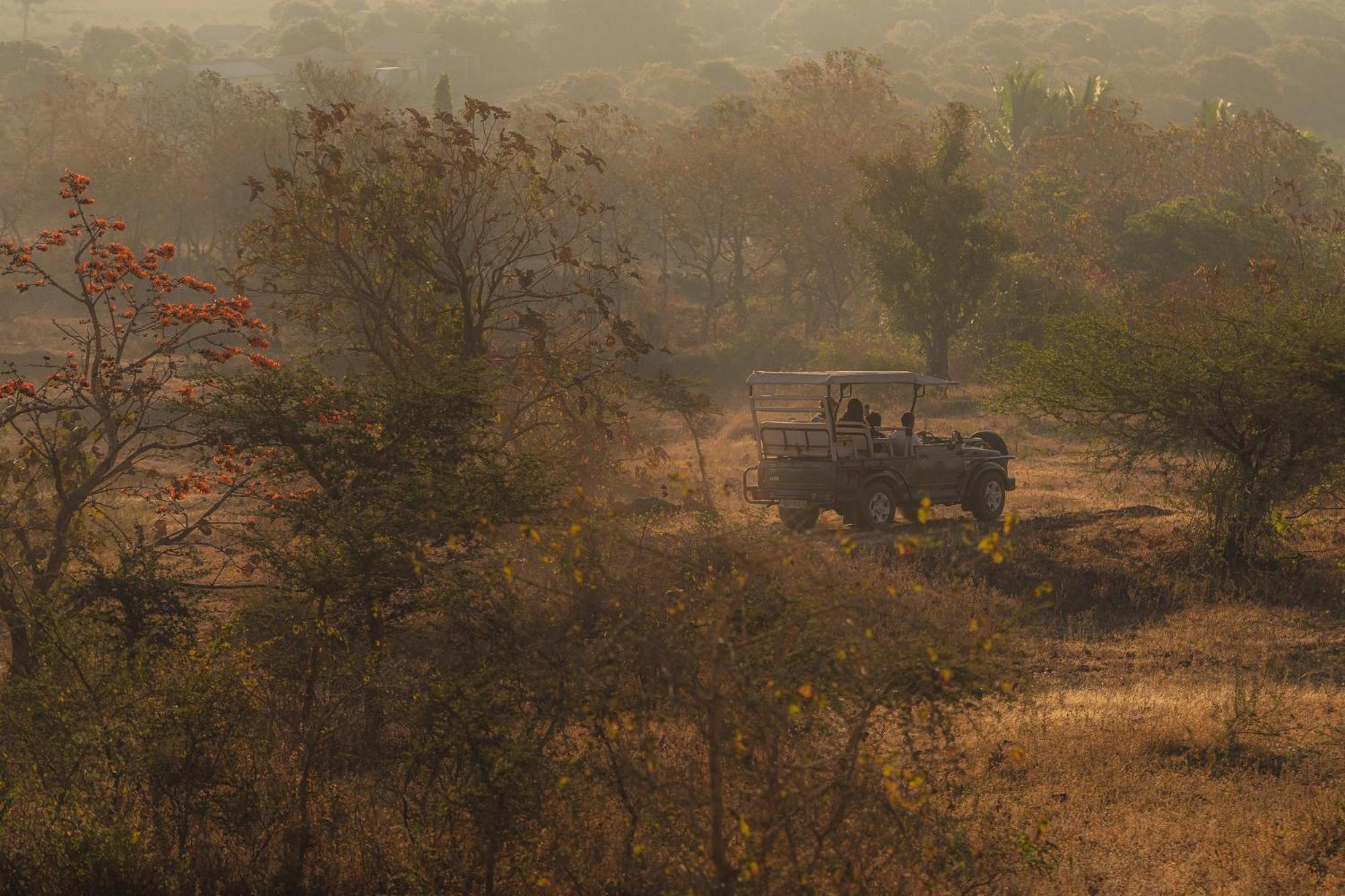 Woods At Sasan Hotel Sasan Gir Exterior foto